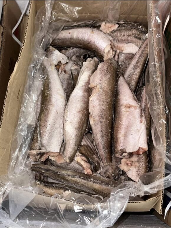 Whiting Fish/Hake Fish 5lbs