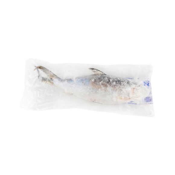 MILKFISH